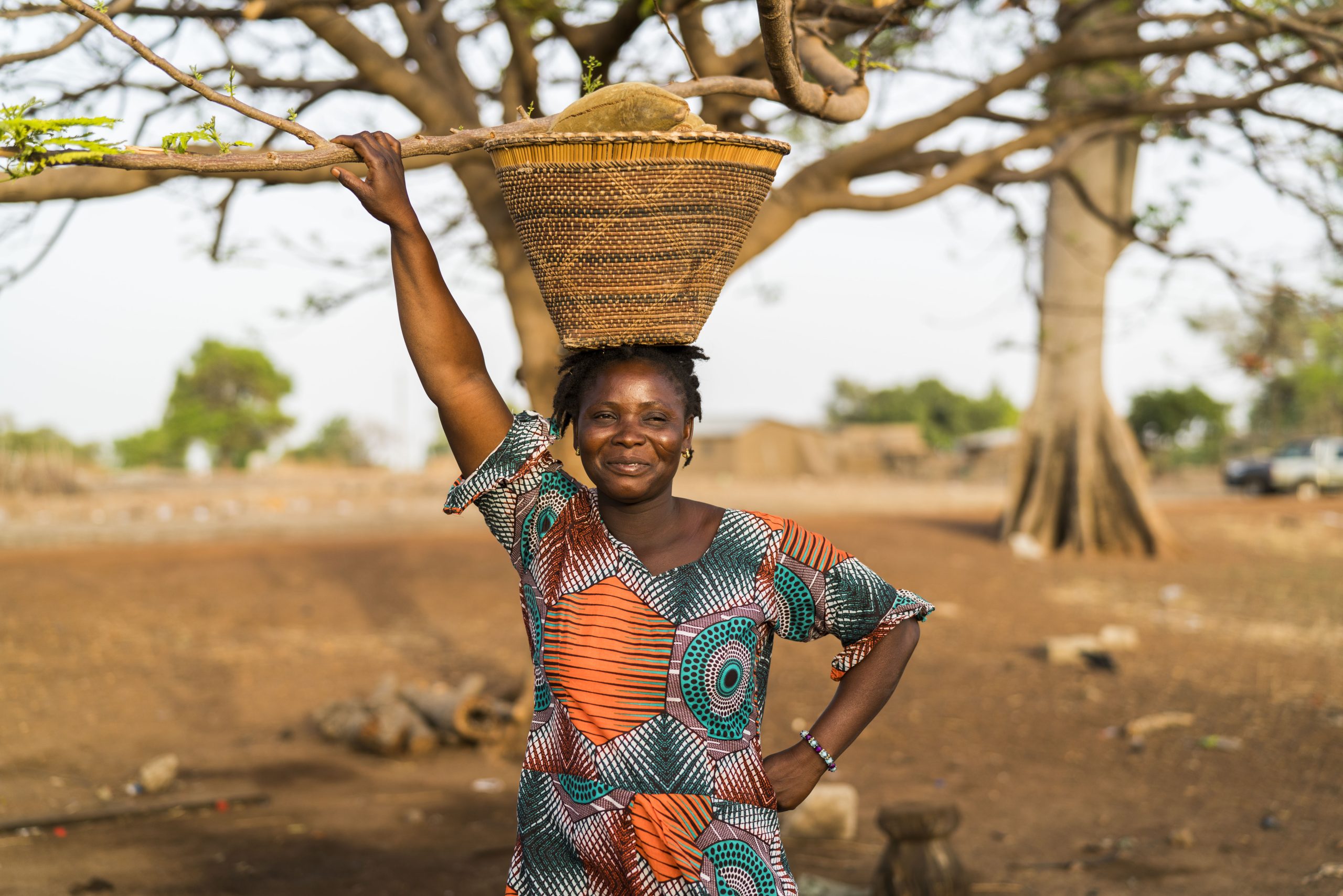 Baobab From Ghana
